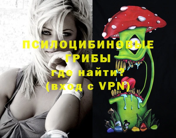 эйфоретик Алексеевка