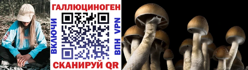кракен вход  Тула  Галлюциногенные грибы MAGIC MUSHROOMS 