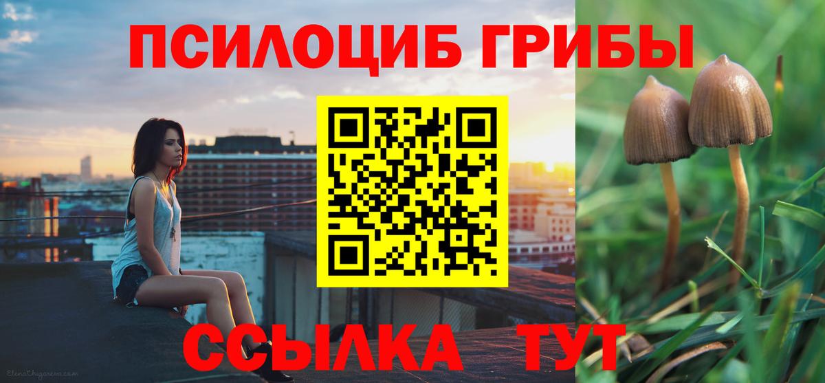 где можно купить наркотик  Вход с VPN  Тула  Галлюциногенные грибы Magic Shrooms 